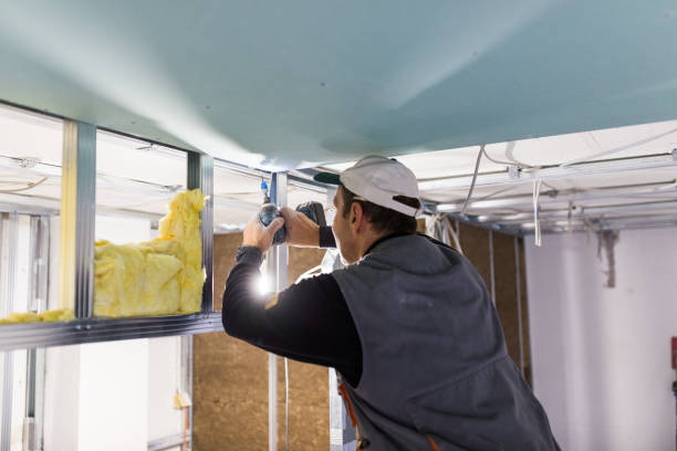 Best Insulation Contractors for Homes  in East Meadow, NY