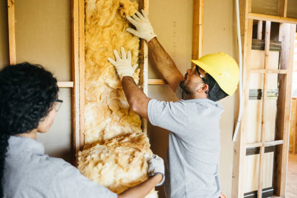 Best Crawl Space Insulation  in East Meadow, NY